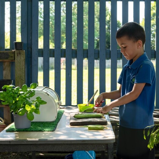 Elmhurst school boy cutting vegetables outdoors