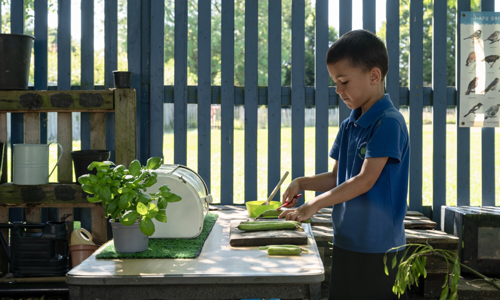Elmhurst school boy preparing vegetables at the garden table